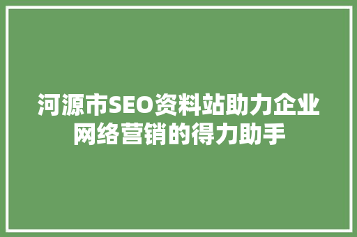 河源市SEO资料站助力企业网络营销的得力助手