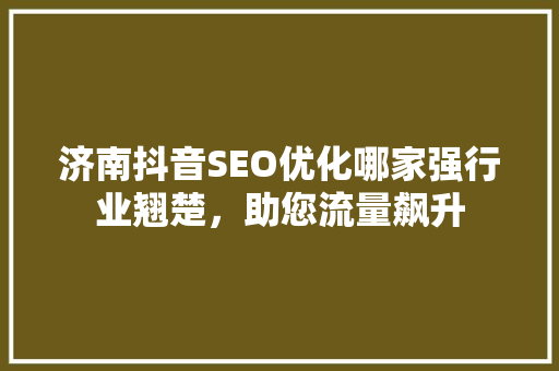 济南抖音SEO优化哪家强行业翘楚，助您流量飙升