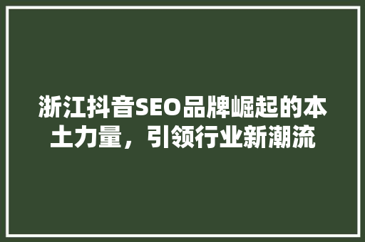 浙江抖音SEO品牌崛起的本土力量，引领行业新潮流