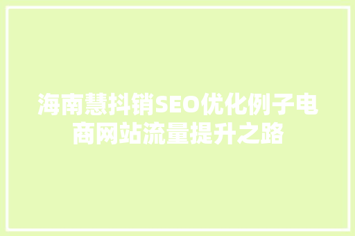 海南慧抖销SEO优化例子电商网站流量提升之路