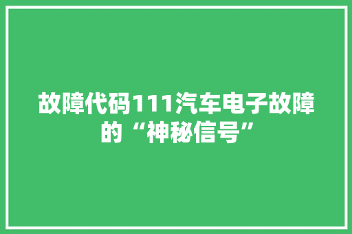 故障代码111汽车电子故障的“神秘信号”