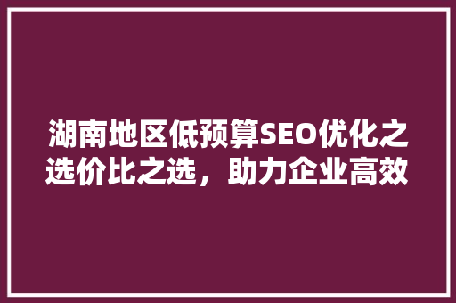 湖南地区低预算SEO优化之选价比之选，助力企业高效提升排名