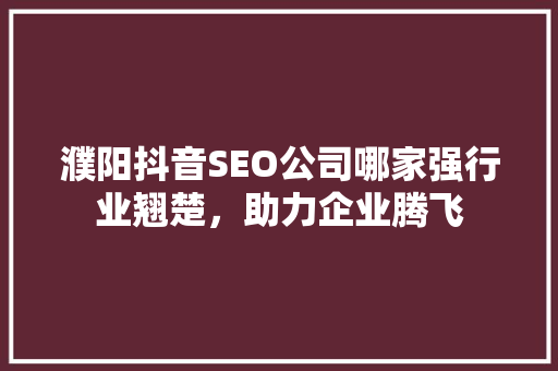 濮阳抖音SEO公司哪家强行业翘楚，助力企业腾飞