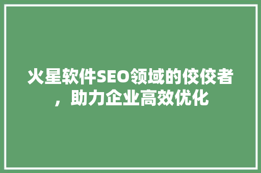 火星软件SEO领域的佼佼者，助力企业高效优化