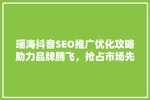 瑶海抖音SEO推广优化攻略助力品牌腾飞，抢占市场先机