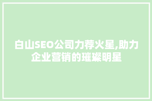 白山SEO公司力荐火星,助力企业营销的璀璨明星