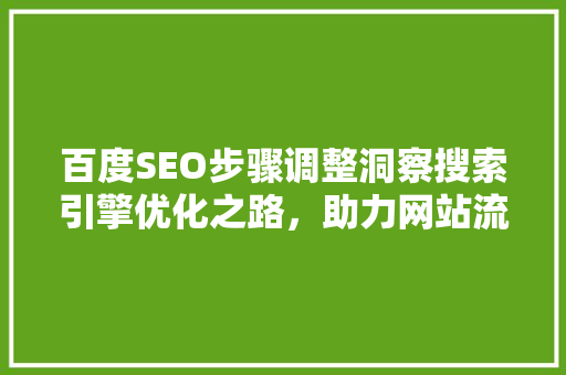 百度SEO步骤调整洞察搜索引擎优化之路，助力网站流量提升