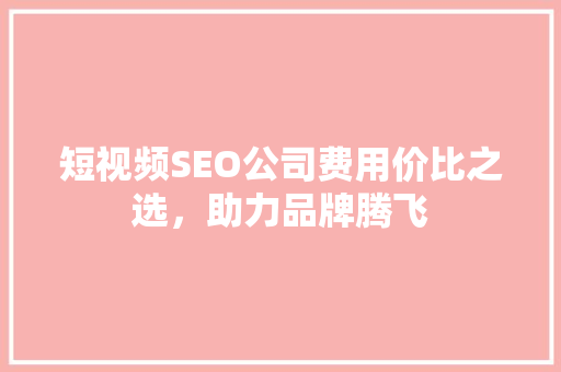 短视频SEO公司费用价比之选，助力品牌腾飞