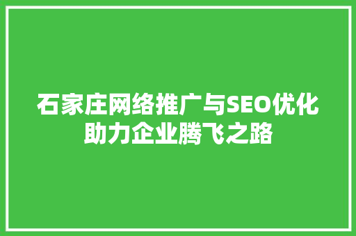 石家庄网络推广与SEO优化助力企业腾飞之路