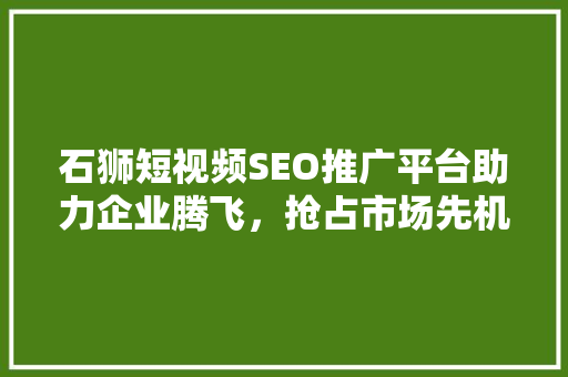 石狮短视频SEO推广平台助力企业腾飞，抢占市场先机