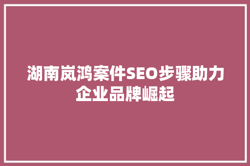 湖南岚鸿案件SEO步骤助力企业品牌崛起