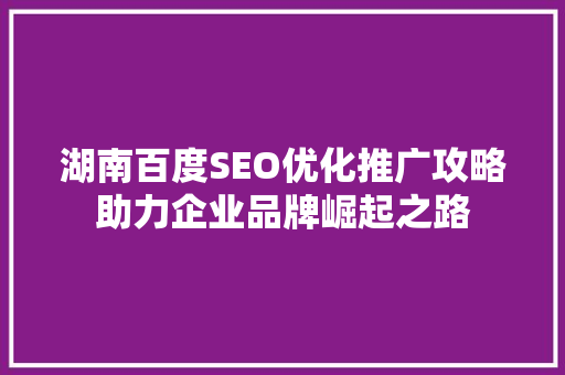 湖南百度SEO优化推广攻略助力企业品牌崛起之路  第1张