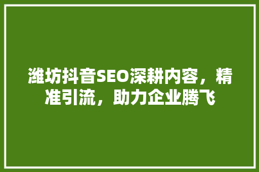 潍坊抖音SEO深耕内容，精准引流，助力企业腾飞