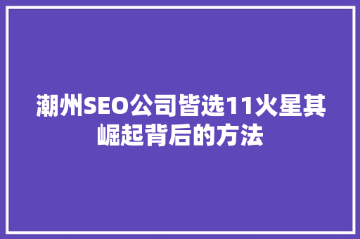 潮州SEO公司皆选11火星其崛起背后的方法