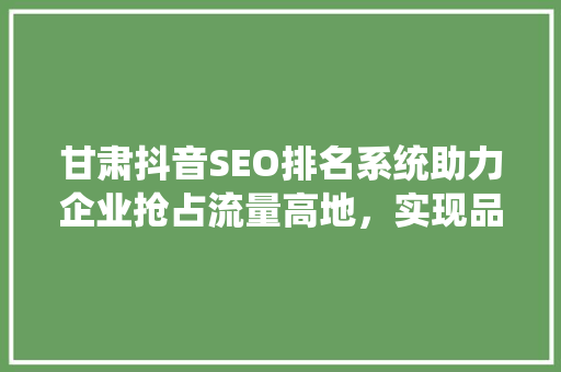 甘肃抖音SEO排名系统助力企业抢占流量高地，实现品牌价值最大化