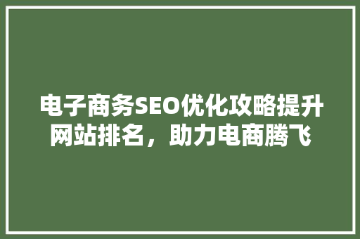电子商务SEO优化攻略提升网站排名，助力电商腾飞