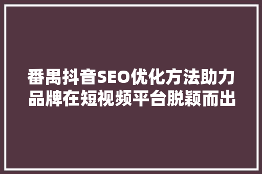 番禺抖音SEO优化方法助力品牌在短视频平台脱颖而出