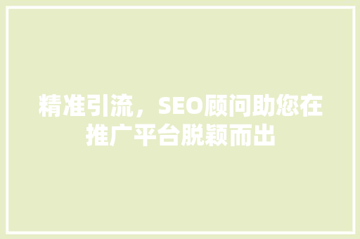 精准引流，SEO顾问助您在推广平台脱颖而出