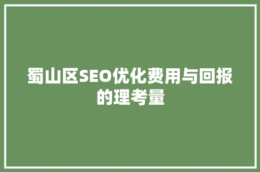 蜀山区SEO优化费用与回报的理考量