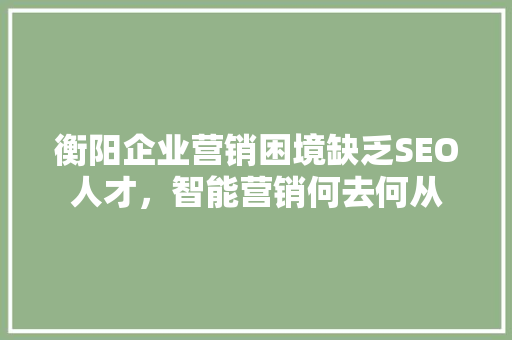 衡阳企业营销困境缺乏SEO人才，智能营销何去何从