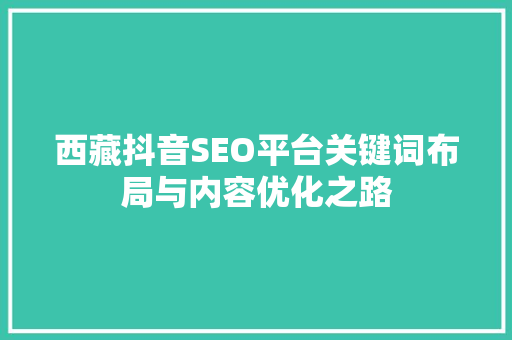 西藏抖音SEO平台关键词布局与内容优化之路