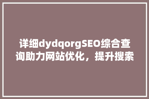 详细dydqorgSEO综合查询助力网站优化，提升搜索引擎排名