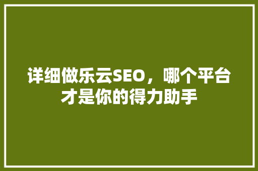详细做乐云SEO，哪个平台才是你的得力助手