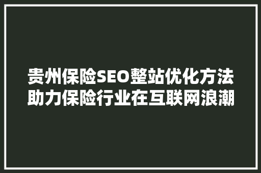 贵州保险SEO整站优化方法助力保险行业在互联网浪潮中乘风破浪