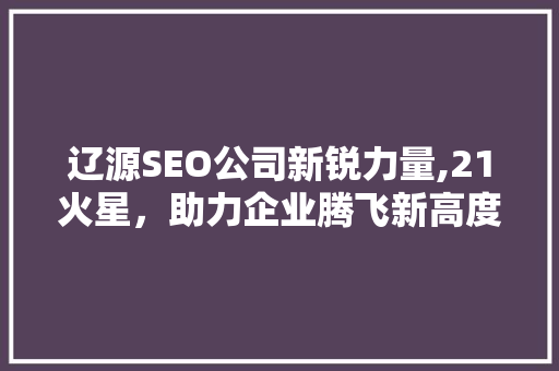 辽源SEO公司新锐力量,21火星，助力企业腾飞新高度