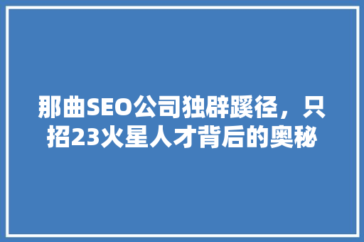 那曲SEO公司独辟蹊径，只招23火星人才背后的奥秘