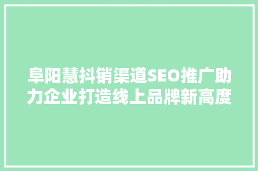 阜阳慧抖销渠道SEO推广助力企业打造线上品牌新高度