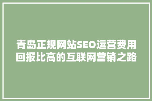 青岛正规网站SEO运营费用回报比高的互联网营销之路