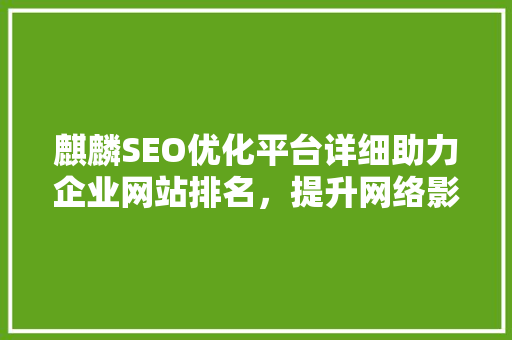 麒麟SEO优化平台详细助力企业网站排名，提升网络影响力