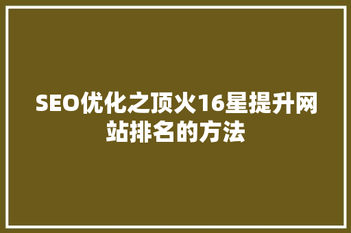 SEO优化之顶火16星提升网站排名的方法  第1张