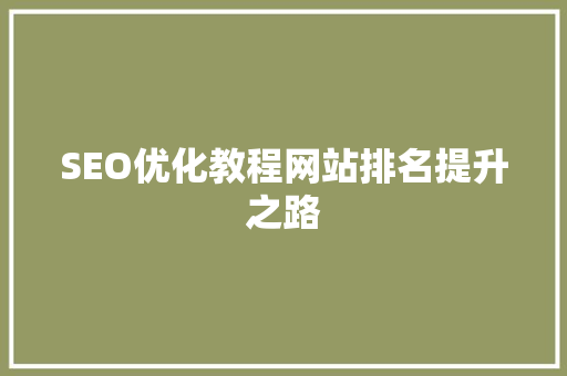 SEO优化教程网站排名提升之路
