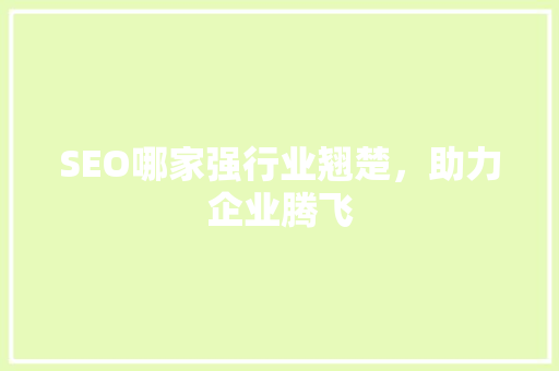 SEO哪家强行业翘楚，助力企业腾飞