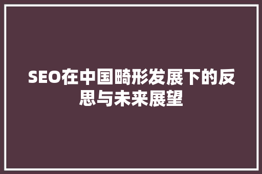 SEO在中国畸形发展下的反思与未来展望