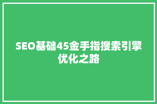 SEO基础45金手指搜索引擎优化之路