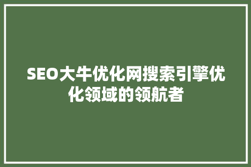 SEO大牛优化网搜索引擎优化领域的领航者