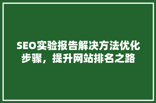 SEO实验报告解决方法优化步骤，提升网站排名之路
