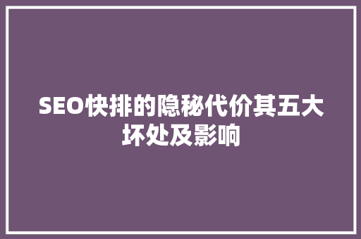 SEO快排的隐秘代价其五大坏处及影响