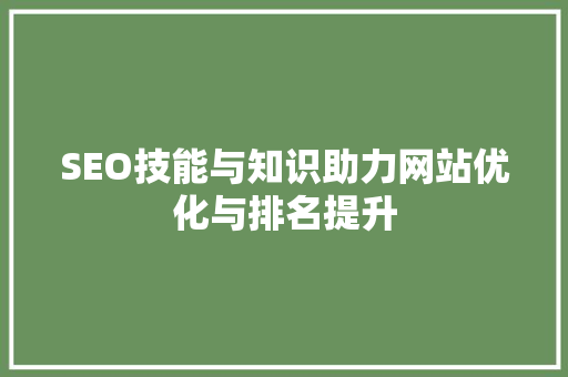 SEO技能与知识助力网站优化与排名提升