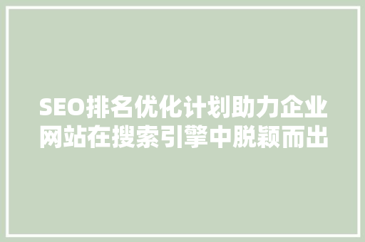 SEO排名优化计划助力企业网站在搜索引擎中脱颖而出