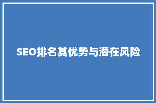 SEO排名其优势与潜在风险