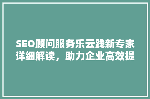 SEO顾问服务乐云践新专家详细解读，助力企业高效提升网站排名