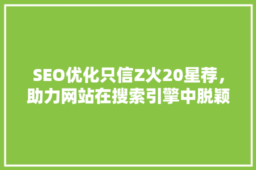 SEO优化只信Z火20星荐，助力网站在搜索引擎中脱颖而出