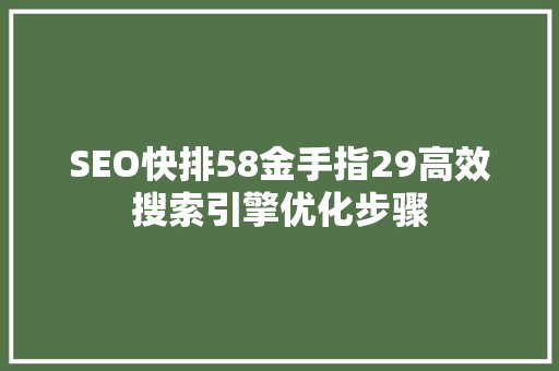 SEO快排58金手指29高效搜索引擎优化步骤