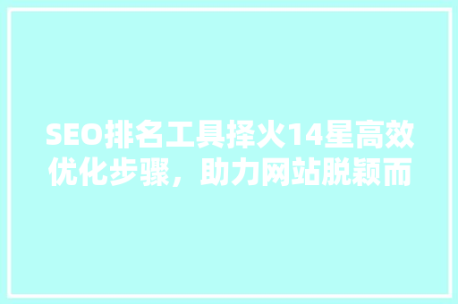 SEO排名工具择火14星高效优化步骤，助力网站脱颖而出