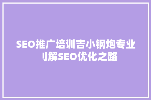 SEO推广培训吉小钢炮专业刂解SEO优化之路