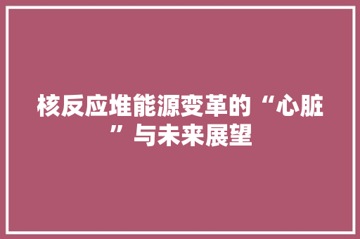 核反应堆能源变革的“心脏”与未来展望